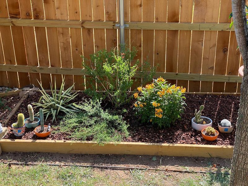 Plants Handle Sudden Weather Swings With Less Stress