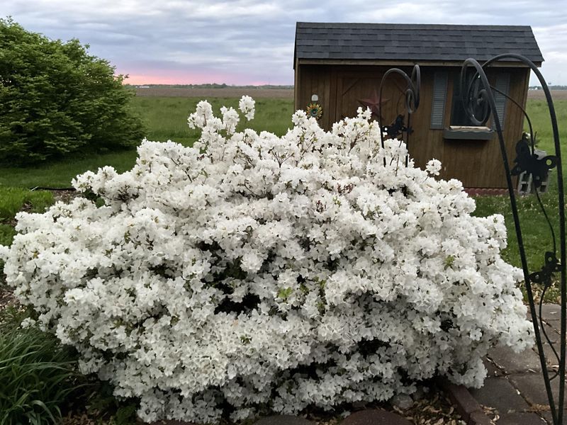 Locations With Constant Foot Traffic