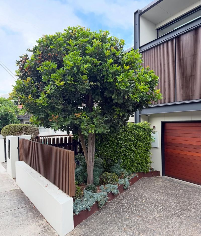 Buttonwood Handles Salt Spray Like A Champion