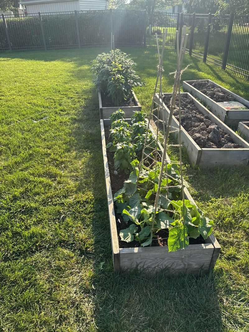 Rotate Crops Each Season