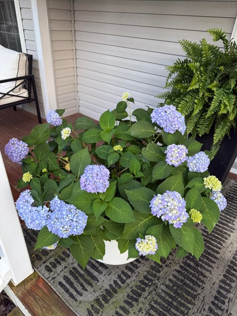 Consider Wind Protection