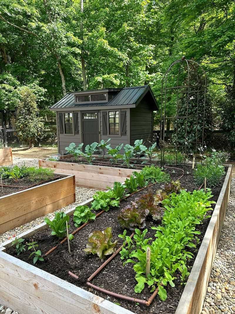 Water Early In The Day