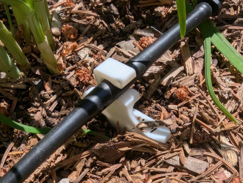 Water In A Way That Supports Both Crops