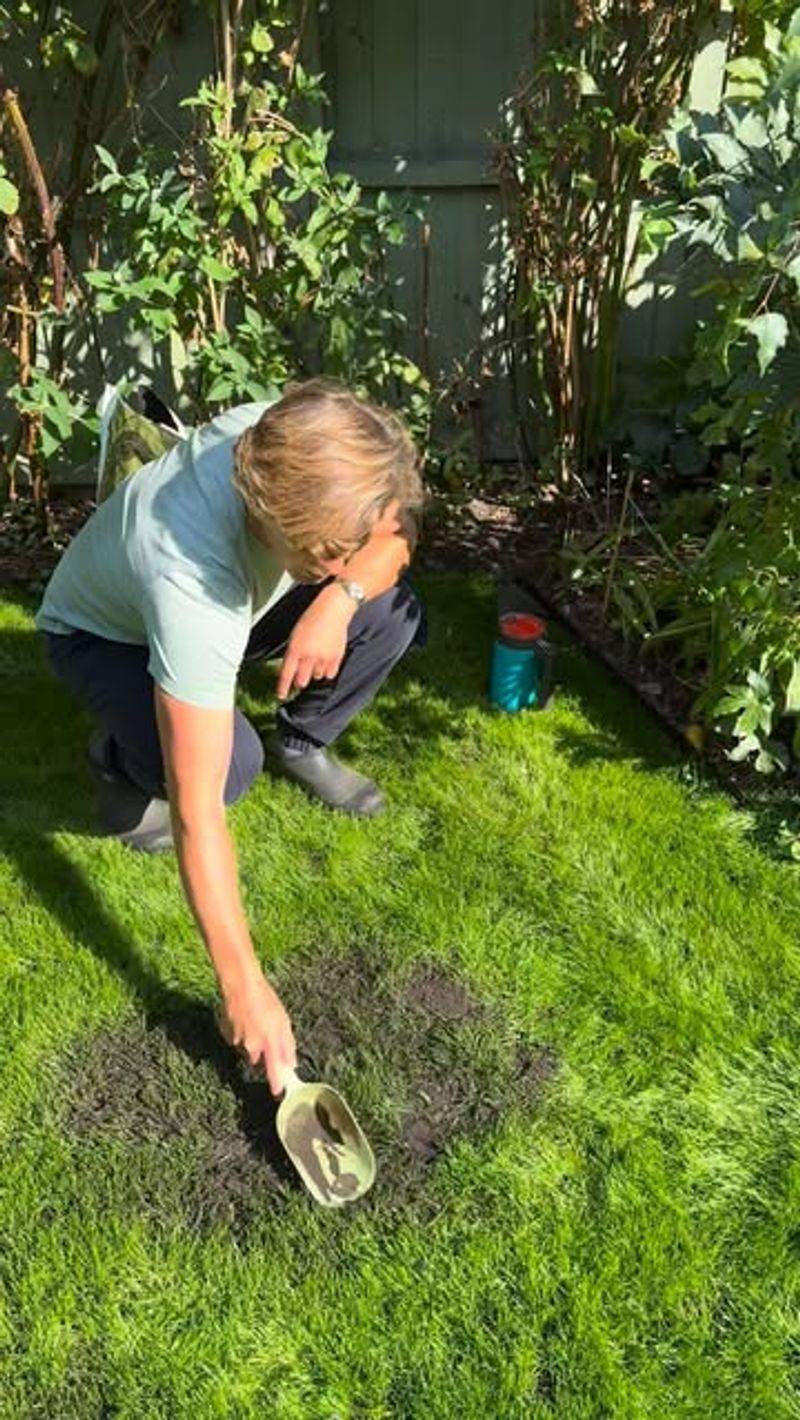 Reseeding Or Repairing Lawn Patches