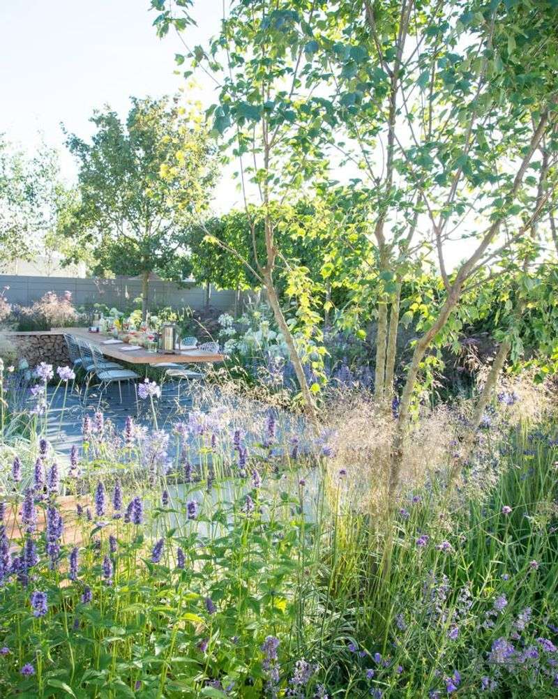 The Garden Looks Fuller And Healthier All Season