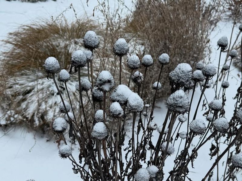 Less Soil Erosion After Snow And Heavy Rain