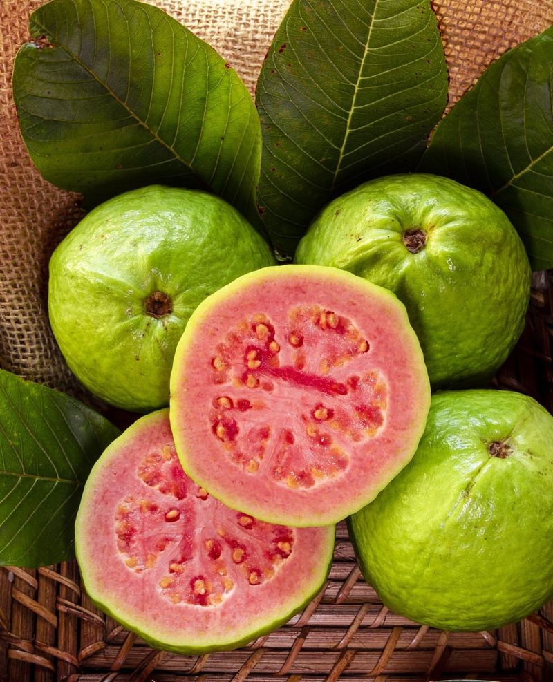 Guava