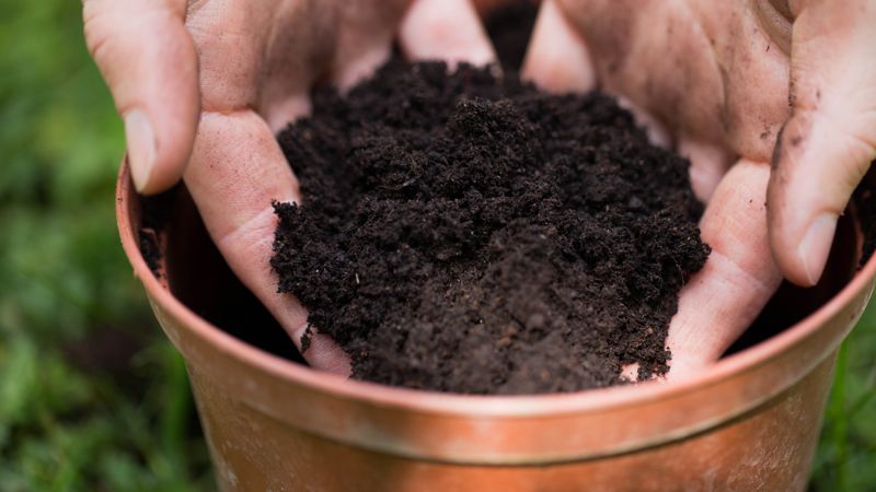 Test And Amend Your Stored Potting Soil