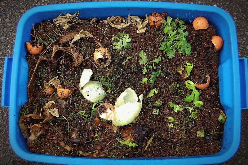 Use Eggshells To Boost Soil Health