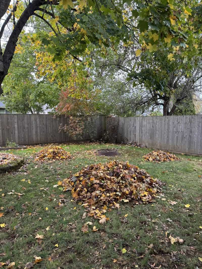 Clear Out Winter Debris