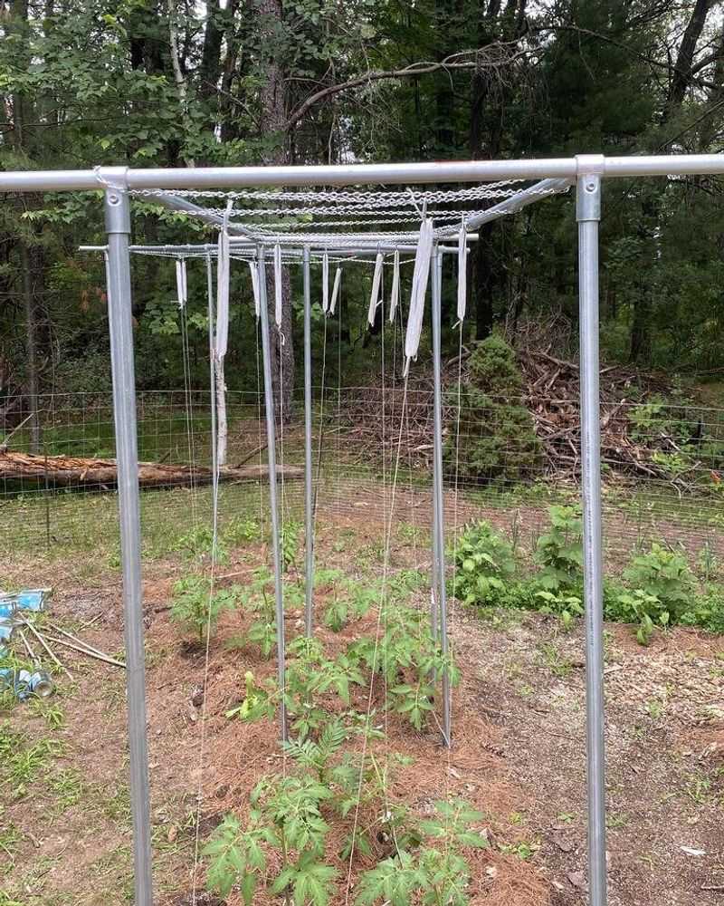 Install Trellises And Supports