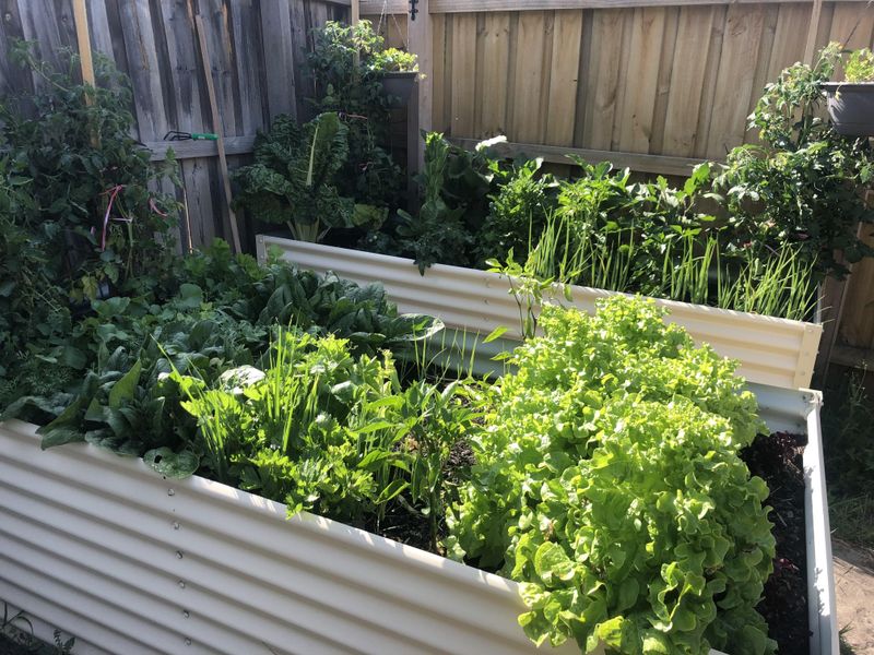 Pick A Sunny Spot That Actually Gets Light