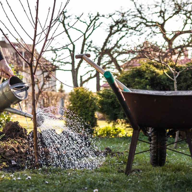 Water Deeply During Dry Spells