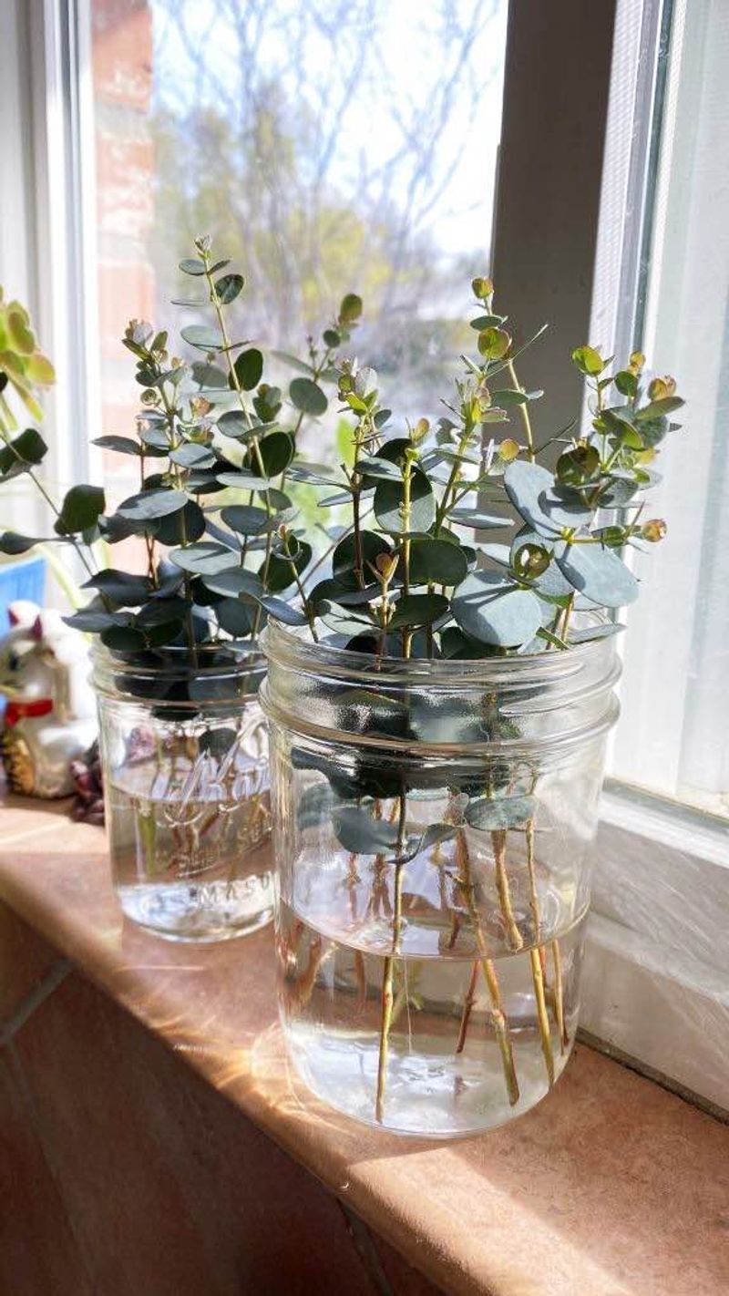 Turning January Propagation Into Spring Garden Savings