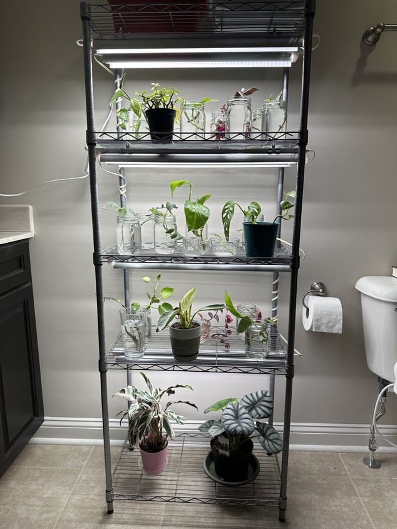 Propagation Station with Grow Lights