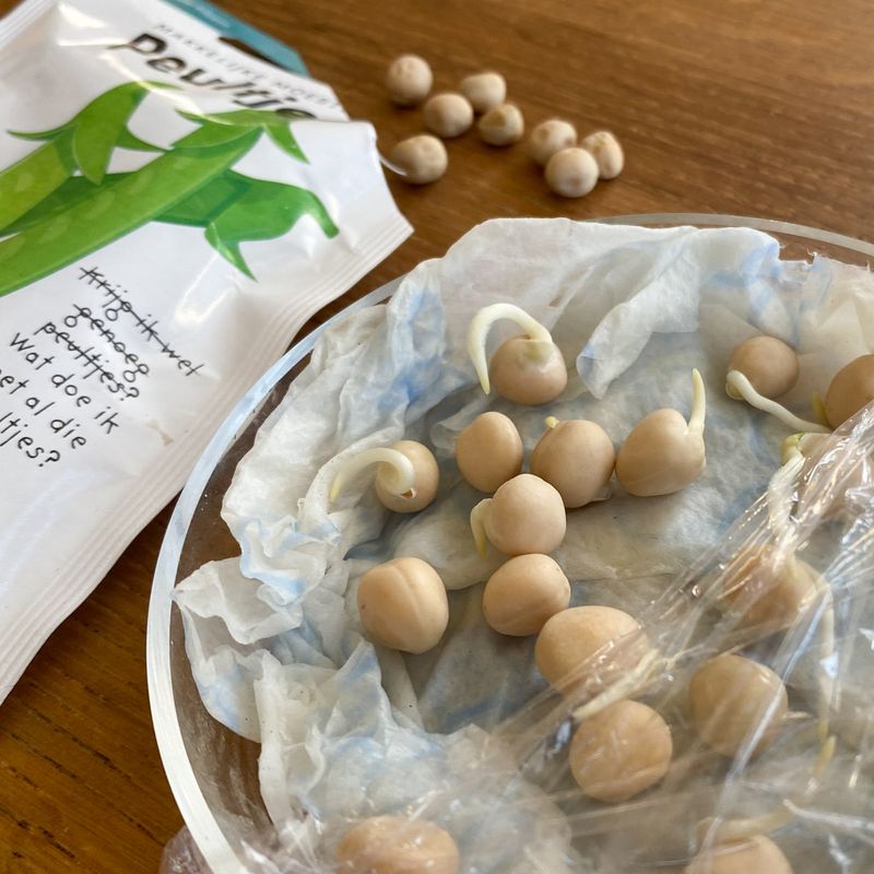Choosing The Right Seeds For Pre-Sprouting