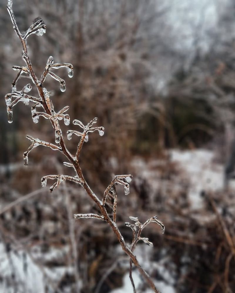 What Not To Do While The Storm Is Passing