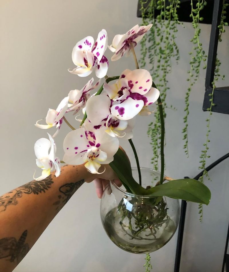 Prune For Shape And Airflow