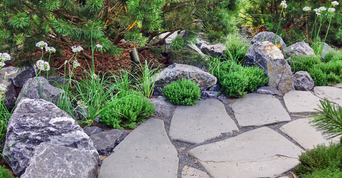 Stone Landscaping Ideas That Keep Colorado Yards Easy To Manage