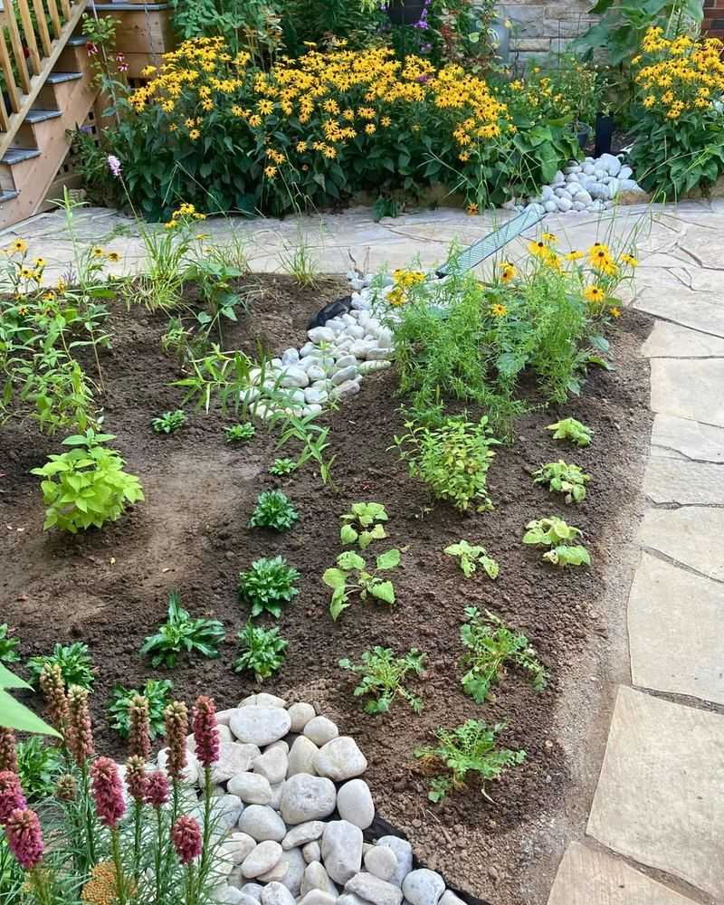 Rain Gardens Handle Water Naturally