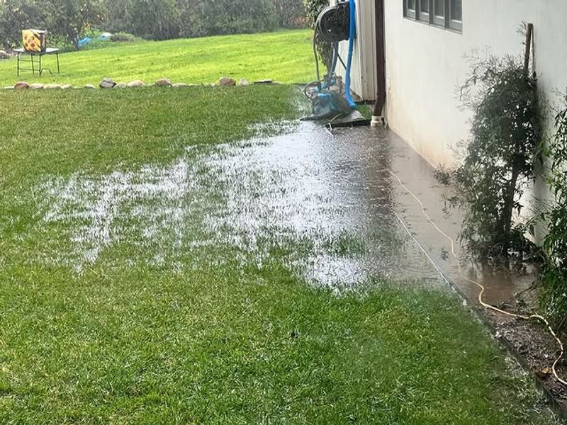 Leaving Standing Water Around The Yard