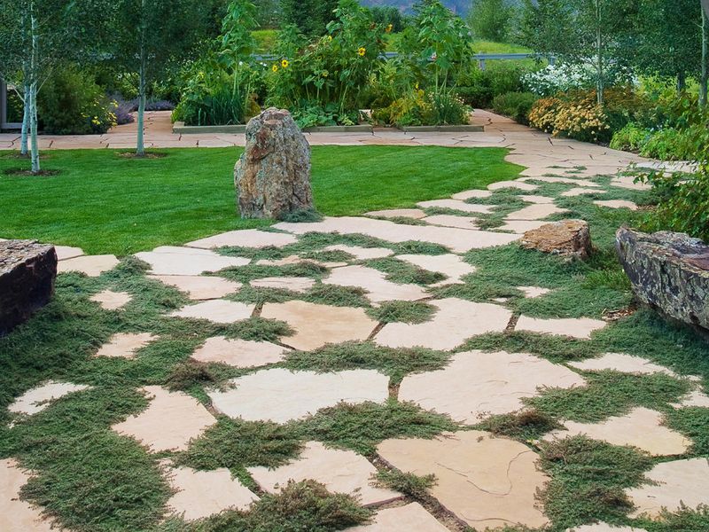Grass And Groundcover Paths For Soft Transitions