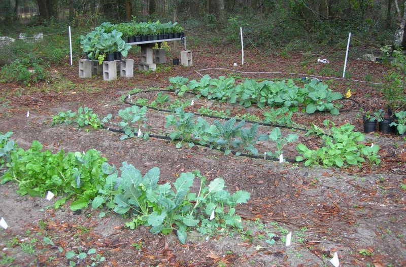 The Simple Shift That Changes Everything