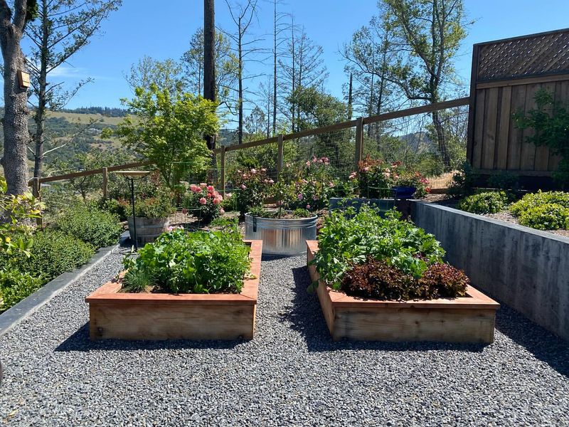 Fragrant Herb And Edible Gardens