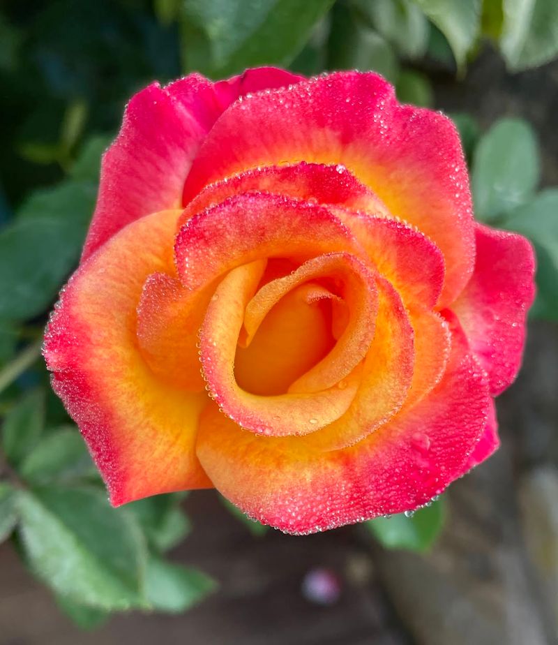 Ongoing Monitoring For Stress Signals