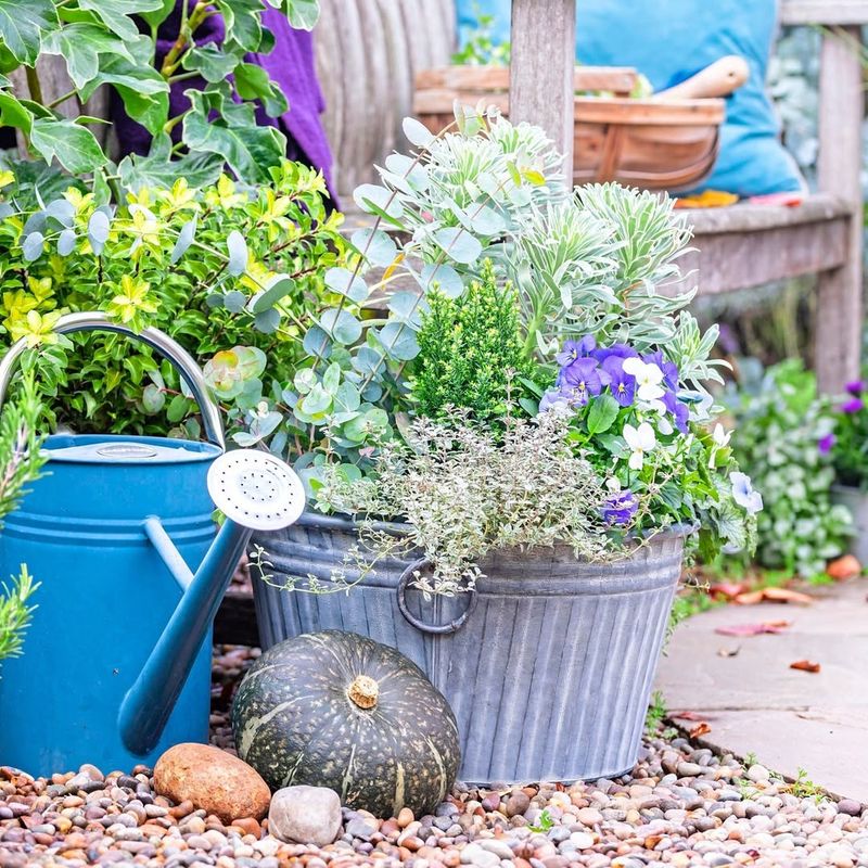 Watering Techniques For Patio Pots