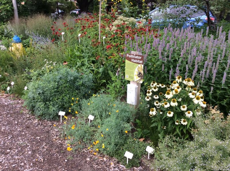 Joining A Growing Movement