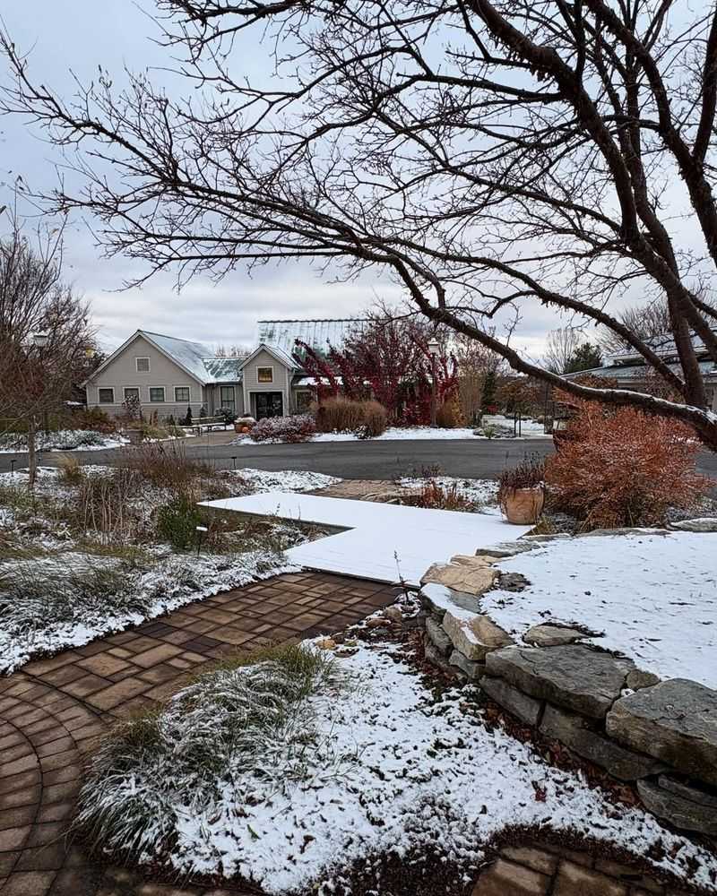 Adding Nitrogen and Nutrients Through Atmospheric Deposition