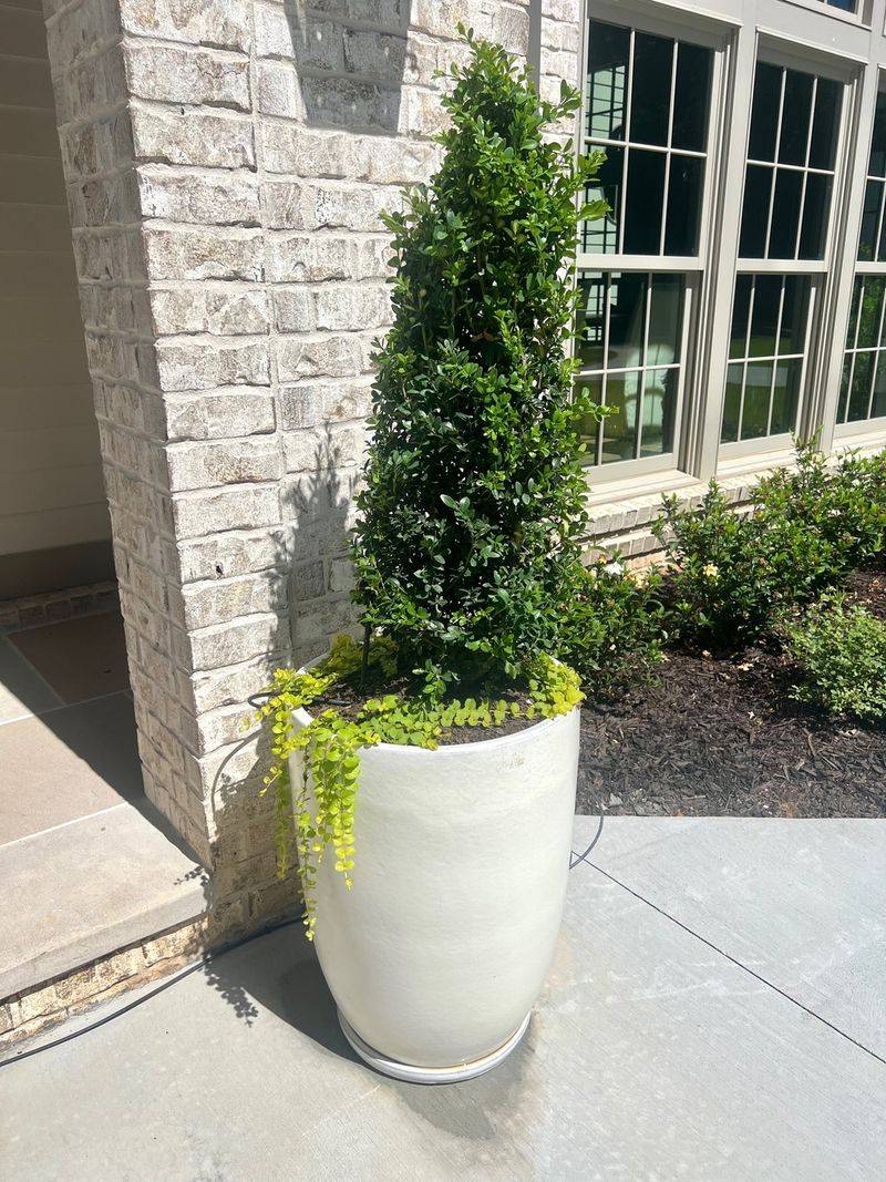 Adjusting Drainage To Prevent Ongoing Problems