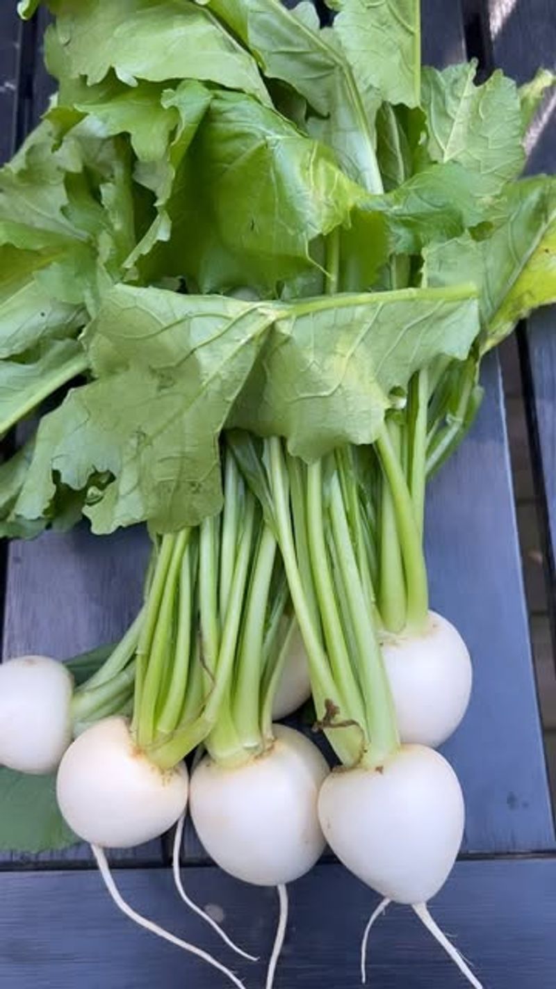 Turnips