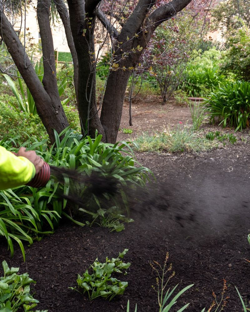Adding Mulch To Retain Soil Moisture