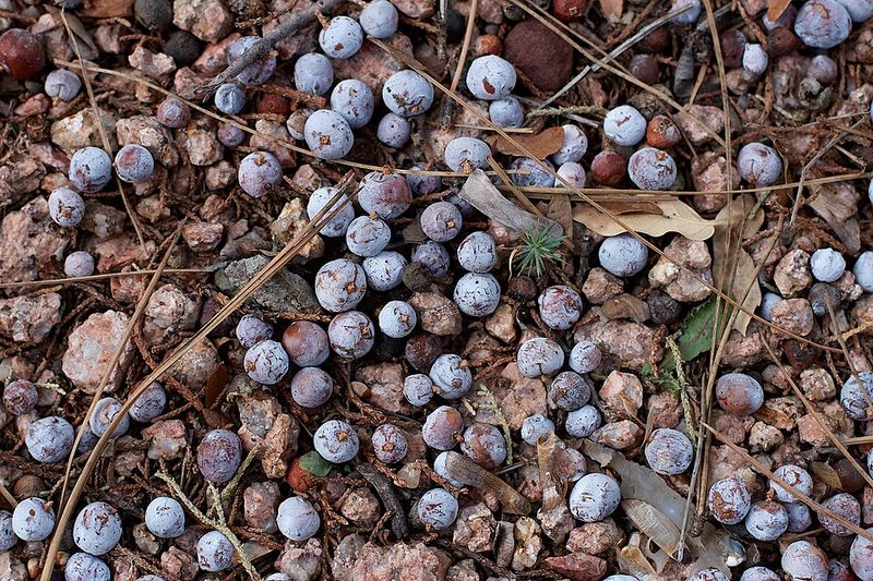 What To Do If The Situation Escalates