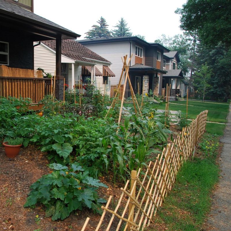 Front Yard Vegetable Gardens