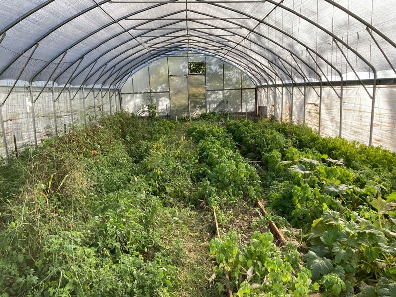 Greenhouses Located In Special Zoning Areas