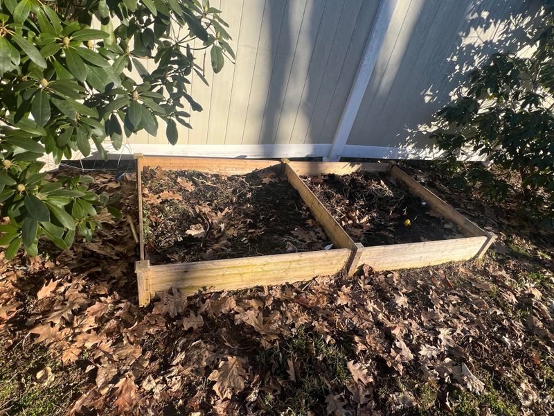 Prepare Vegetable Beds For Early Spring Crops