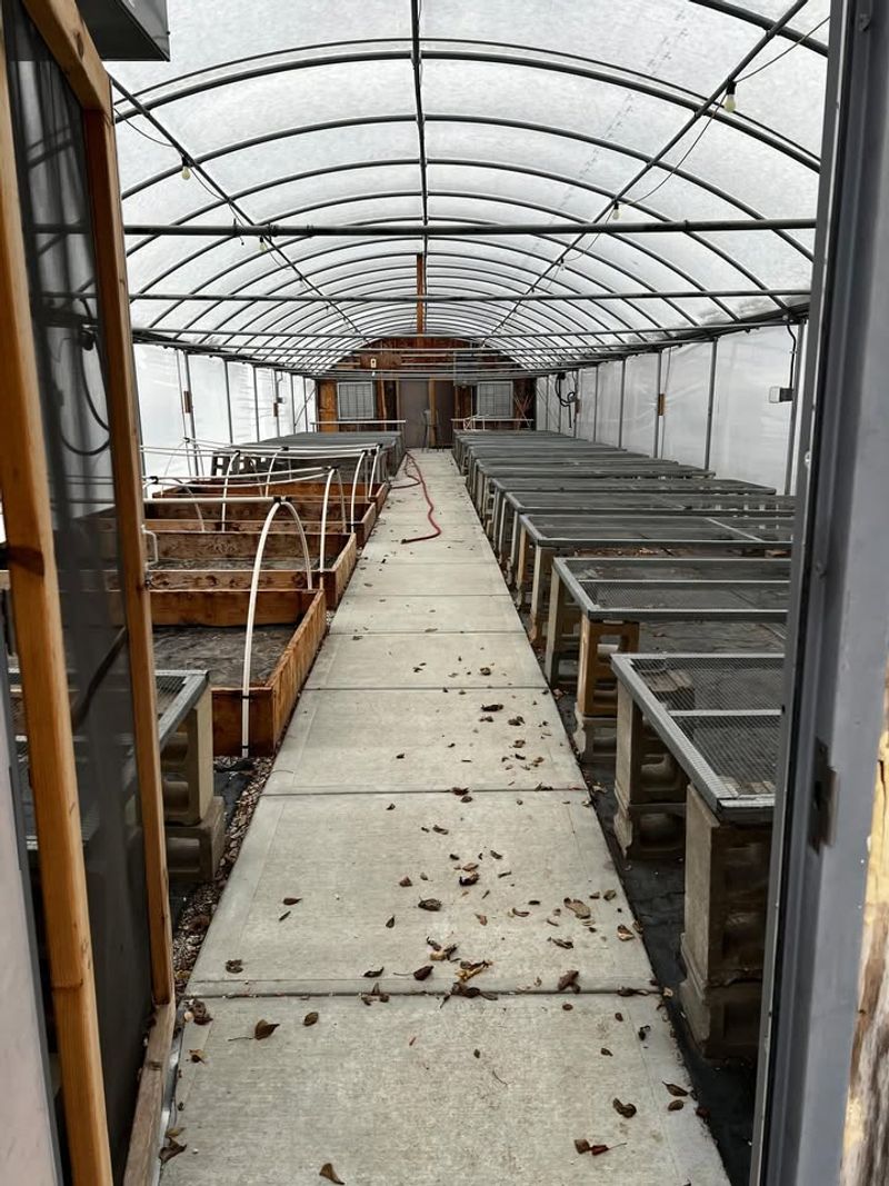 Organize And Sanitize Growing Benches