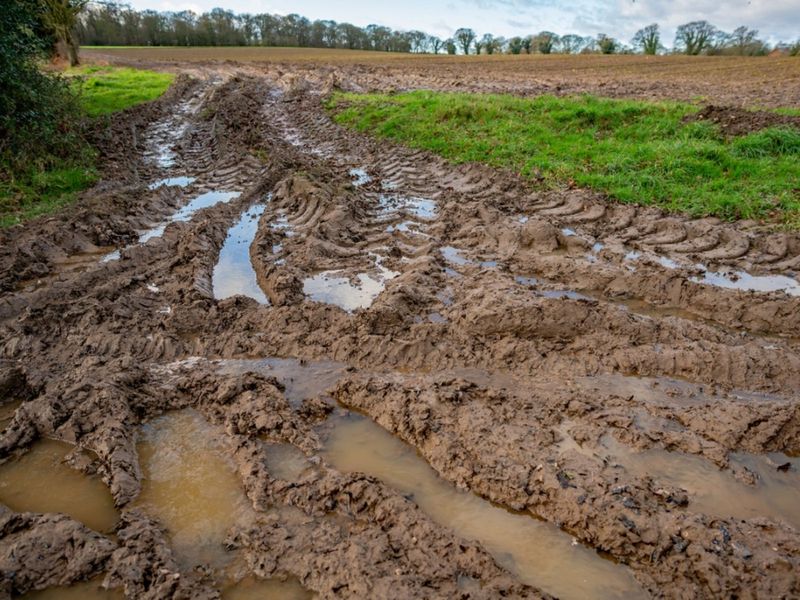 Stop Tilling Wet Clay Soil