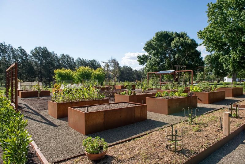 Plan Your Garden Around Georgia's Planting Seasons