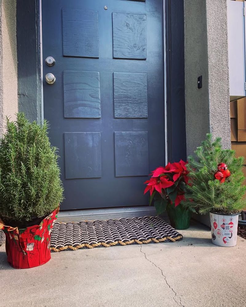 Foundation Areas With Sharp Drainage Suit Rosemary Perfectly