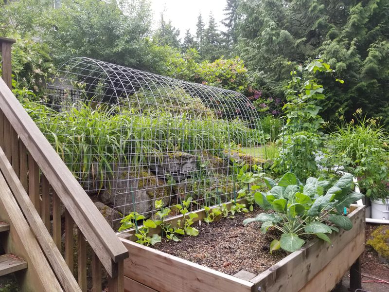 Season Extension For Earlier Spring Planting