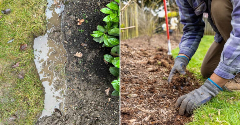 waterlogged garden beds fixing