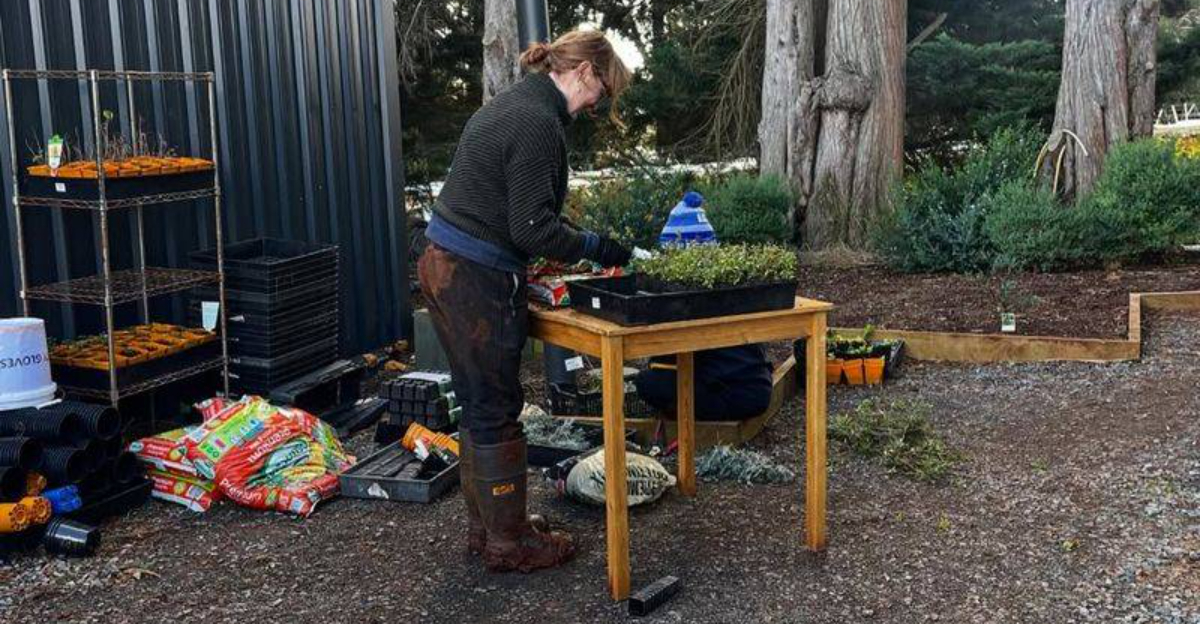 The 9 Garden Tasks You Should Finish Before February In Oregon