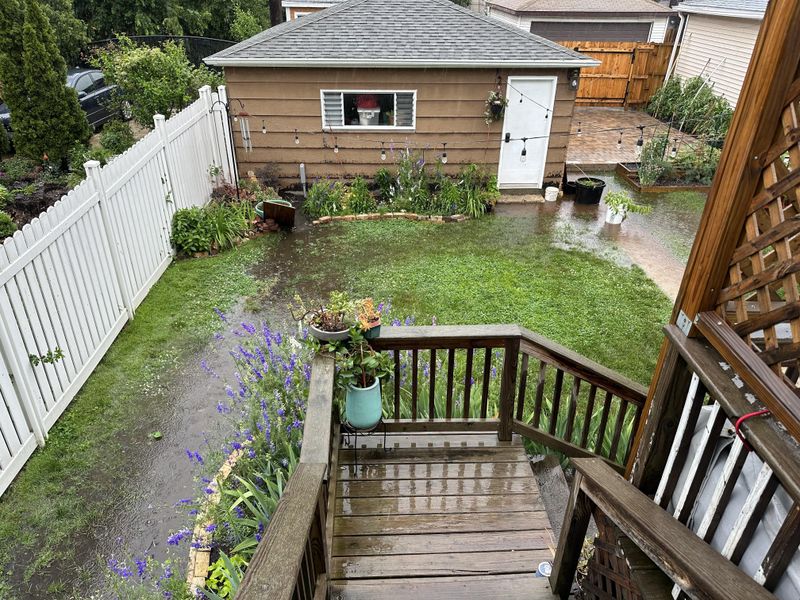 Why Summer Fertilizing Causes Problems