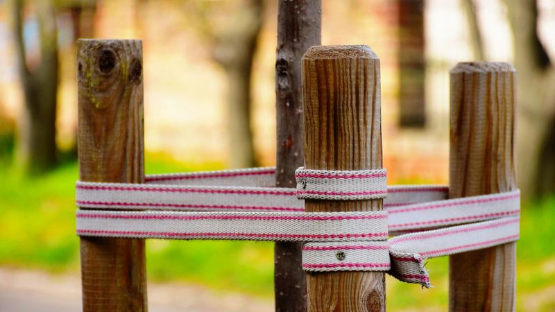 How Tight Is Too Tight? The Right Way To Tie Your Tree