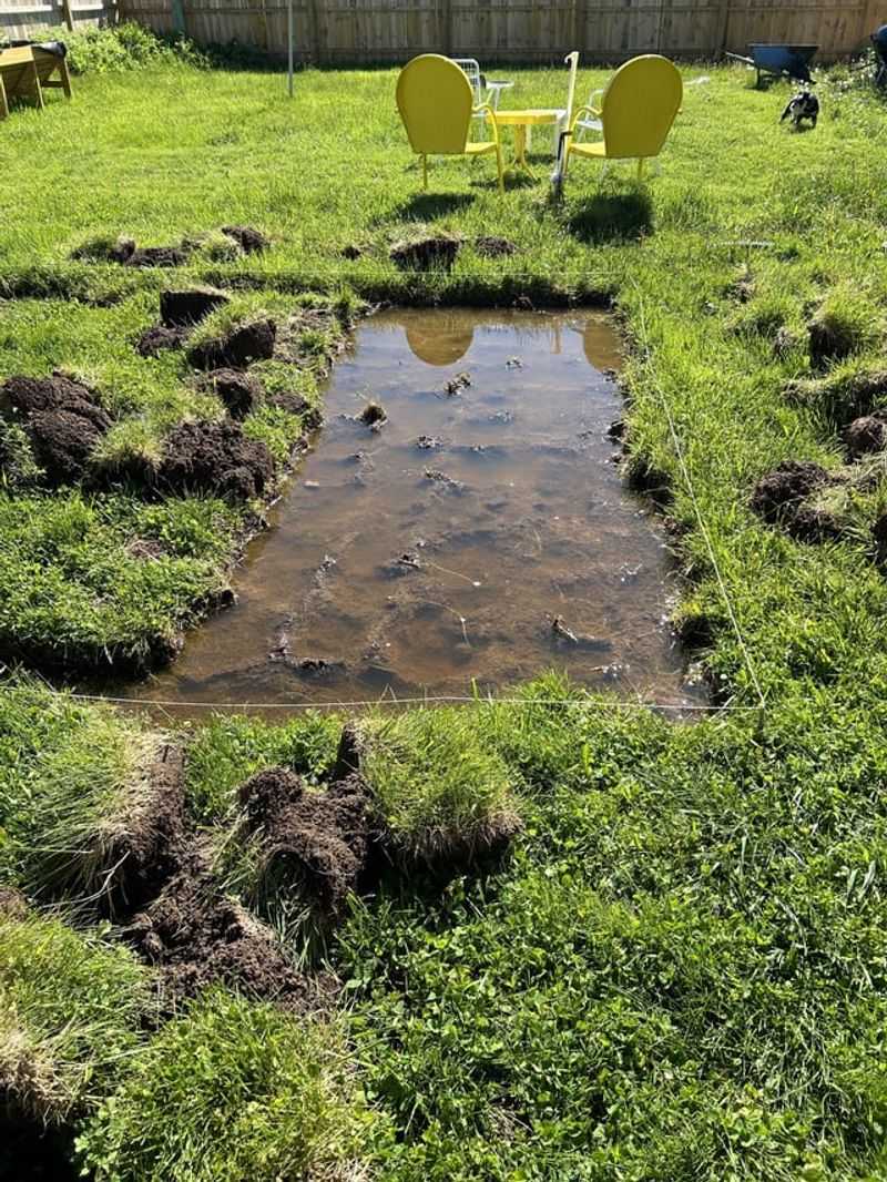 Beds With Heavy Clay Soil That Drains Slowly