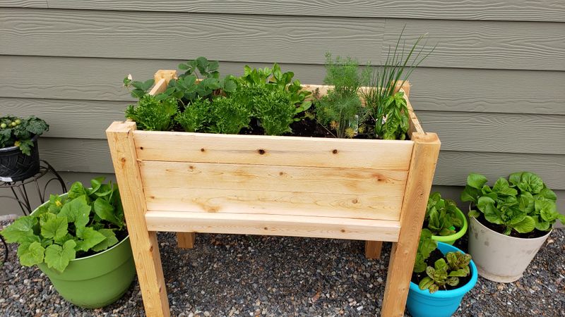 Choose Light-Colored Containers To Beat The Heat